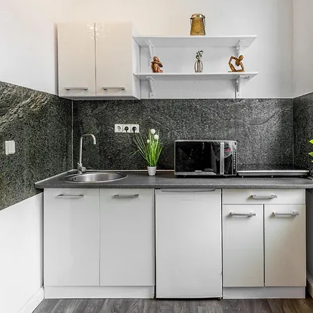 2g Lv 5-zimmer-apartment Hbf Apartment Halle (Saale)